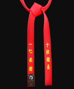 Special Red Master Belt